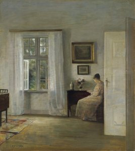 Lukija tekijältä Carl Holsoe