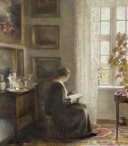 Lukeminen aurinkoisesta ikkunasta tekijältä Carl Holsoe