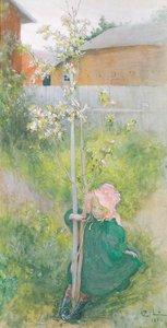 Omenakukka, 1894 tekijältä Carl Larsson
