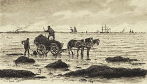 Maanviljelijät ajavat merilevää tekijältä Carl Locher