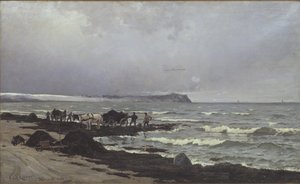 Merilevää lastataan Hornbæk Strandissa tekijältä Carl Locher
