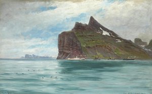 Näkymä Cape Northista, Islannista, Tanskan kuninkaalliselta matkalta vuonna 1907 höyrylaiva SS Birma -laivalla tekijältä Carl Locher