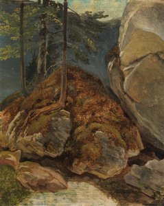 Ölstudie mit moosbewachsenem Felsen tekijältä Carl Spitzweg