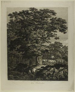Uimarit