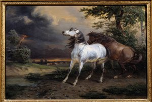 Myrskyn peloissaan hevoset. Carle Vernet