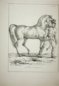 Kuninkaallinen vartija, Norman Cavalier, ei täyspuvussa, ja Horse, nro 3 tekijältä Carle Vernet
