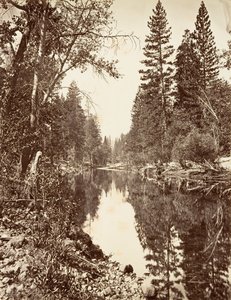 Merced River, Yosemite, n. 1872, painettu n. 1876.