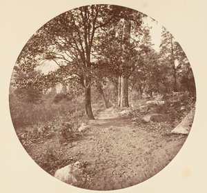 Yosemiten laaksossa n. 1878. tekijältä Carleton Emmons Watkins