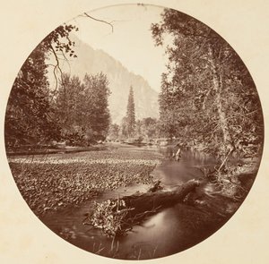 [Yosemiten kansallispuisto, Kalifornia], n. 1878.