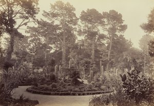  tekijältä Carleton Watkins