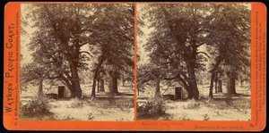 Mökki paikassa Camp Grove, Yosemite Valley, Mariposa County, Ca tekijältä Carleton Watkins
