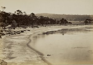  tekijältä Carleton Watkins