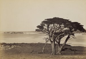  tekijältä Carleton Watkins