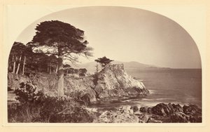  tekijältä Carleton Watkins