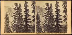 Half Dome ja Vernal Fall, South Forkista käsin tekijältä Carleton Watkins