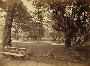 [Monterey, Kalifornia. Hotel Del Monte, Lawn View]. tekijältä Carleton Watkins