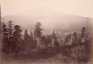  tekijältä Carleton Watkins