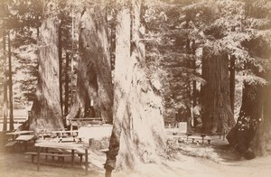  tekijältä Carleton Watkins