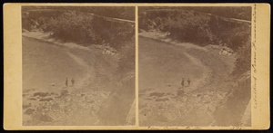 Cove, S.F tekijältä Carleton Watkins