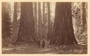  tekijältä Carleton Watkins