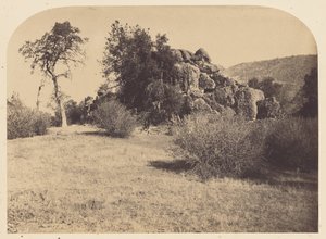 [Tornikallio - pohjoinen näkymä] tekijältä Carleton Watkins