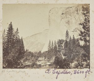  tekijältä Carleton Watkins