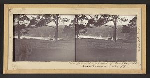 Näkymä Mr. Freundt, Mendocino tekijältä Carleton Watkins