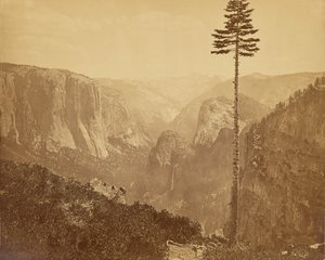  tekijältä Carleton Watkins