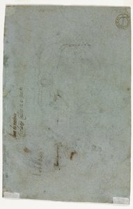 Luonnos lapsen pään versosta, c. 1586.