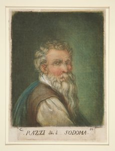  tekijältä Carlo Lasinio