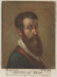 Pierino del Vaga tekijältä Carlo Lasinio, after Perino del Vaga