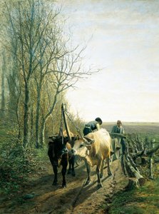 Ennakoitu vero (härät kiinnitettynä vaunuun)
