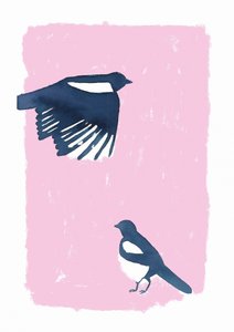 Pink Sky Magpies tekijältä Carola Cedell