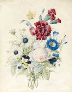 Kukkisuihke, mukaan lukien ruusu, sininen kierre ja orvokki, 1830 (wc ja vartaloväri paperilla)