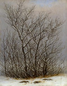 Gebüsch im Schnee tekijältä Caspar David Friedrich