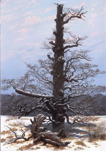 Saksan kieli: Eichbaum im Schnee Tammipuu lumessa tekijältä Caspar David Friedrich