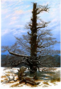Saksan kieli: Eichbaum im Schnee Tammipuu lumessa tekijältä Caspar David Friedrich