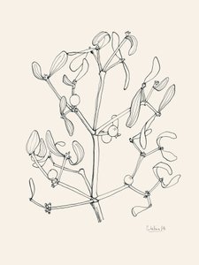 Joulun mistelin viivapiirros