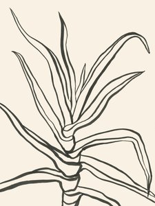 Minimalistinen kasvien hahmotelma