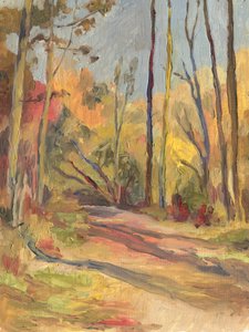 Rauhallinen syksyn polku