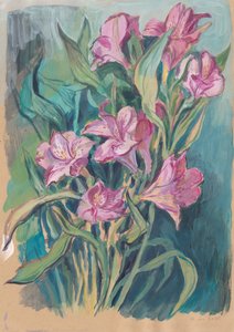 Kirkkaan vaaleanpunaiset kukat tekijältä Catalina Somolinos