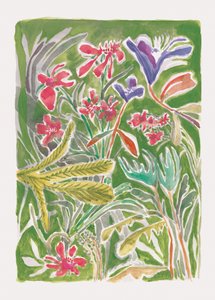 Eläväinen villipuutarha tekijältä Catalina Somolinos