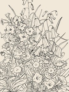 Luonnonvaraiset puutarhakukat tekijältä Catalina Somolinos