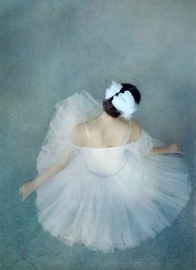 Elegantti Ballerina Swan tekijältä Catherine Wang