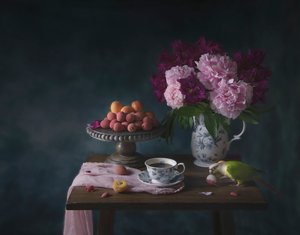 Parrotin pöytäherkku tekijältä Catherine Wang