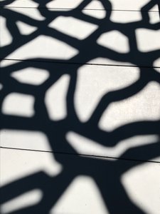 Kokoonpano - Varjot, 2021 (kuva) tekijältä Cécile Jamet