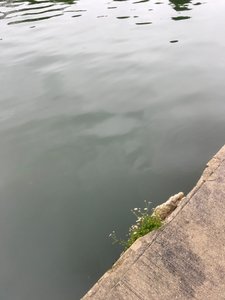 Kokoonpano, 2019 (kuva)