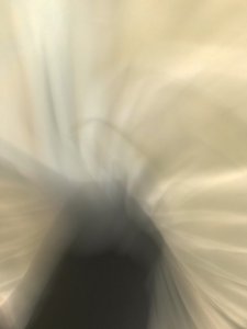 Kokoonpano, 2021 (kuva)