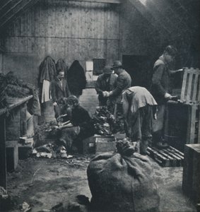 Vihanneksia markkinoille, 1941 tekijältä Cecil Beaton