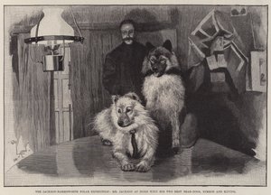 Jackson-Harmsworthin polaariretki, herra Jackson kotona kahden parhaan karhukoiransa Nimrodin ja Ravingin kanssa tekijältä Cecil Charles Windsor Aldin